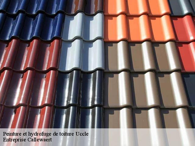 Peinture et hydrofuge de toiture  uccle-1080 Entreprise Callewaert