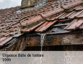 Urgence fuite de toiture jette-1090 Firme Thitane Toit