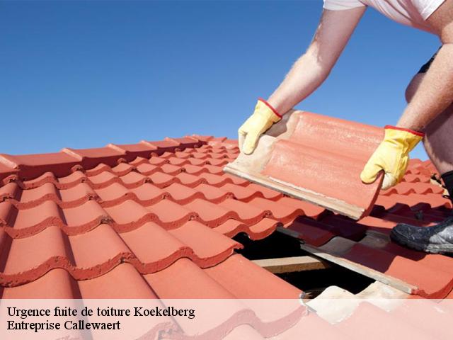 Urgence fuite de toiture  koekelberg-1081 Entreprise Callewaert