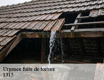 Urgence fuite de toiture  incourt-1315 Firme Thitane Toit