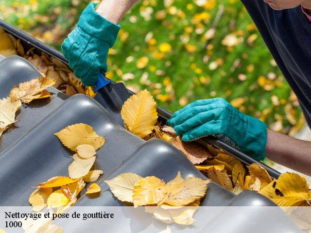 Nettoyage et pose de gouttière  1000