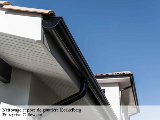 Nettoyage et pose de gouttière  koekelberg-1081 Entreprise Callewaert