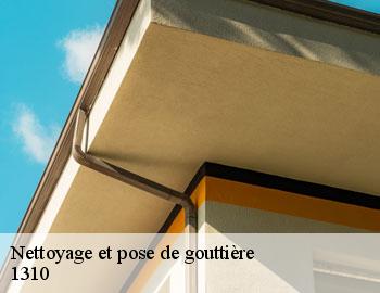 Nettoyage et pose de gouttière la-hulpe-1310 Firme Thitane Toit