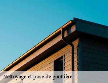 Nettoyage et pose de gouttière la-hulpe-1310 Firme Thitane Toit