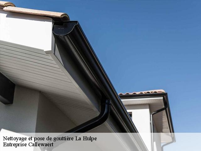 Nettoyage et pose de gouttière la-hulpe-1310 Entreprise Callewaert