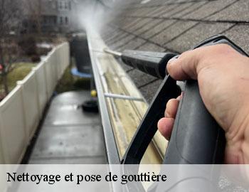 Nettoyage et pose de gouttière lasne-1380 Firme Thitane Toit