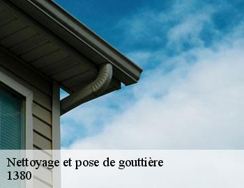 Nettoyage et pose de gouttière lasne-1380 Firme Thitane Toit