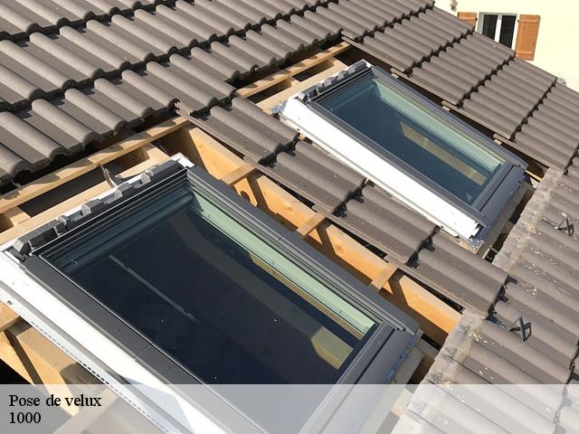 Pose de velux  1000