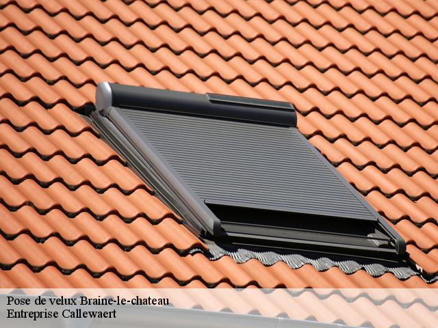 Pose de velux  braine-le-chateau-1440 Entreprise Callewaert