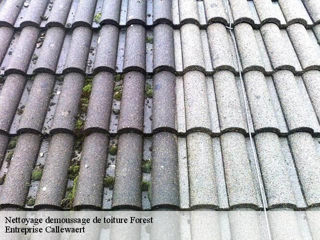 Nettoyage demoussage de toiture  forest-1190 Entreprise Callewaert