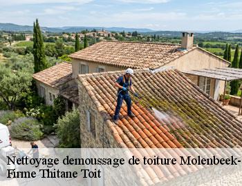 Nettoyage demoussage de toiture  molenbeek-saint-jean-1080 Firme Thitane Toit