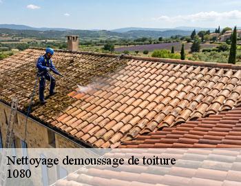 Nettoyage demoussage de toiture  molenbeek-saint-jean-1080 Firme Thitane Toit