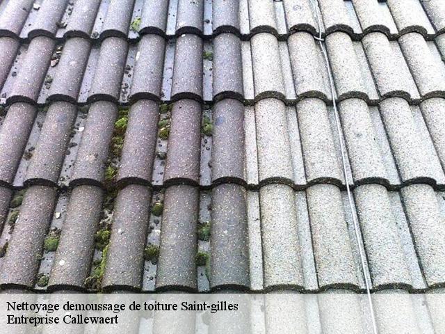 Nettoyage demoussage de toiture  saint-gilles-1060 Entreprise Callewaert