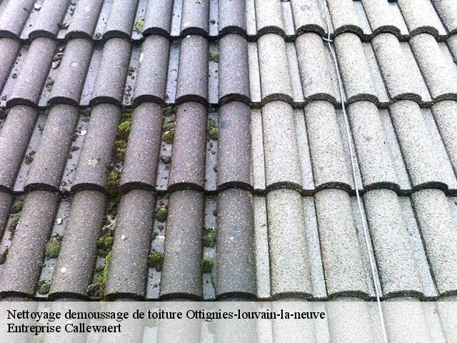 Nettoyage demoussage de toiture  ottignies-louvain-la-neuve-1340 Entreprise Callewaert