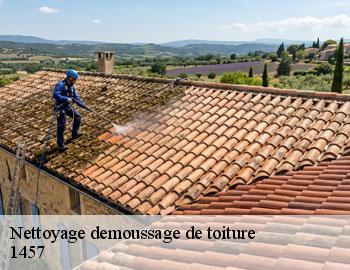 Nettoyage demoussage de toiture walhain-1457 Firme Thitane Toit