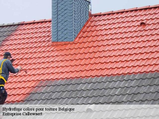 Hydrofuge colore pour toiture BE Belgique  Entreprise Callewaert