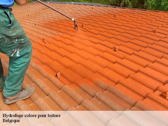 Hydrofuge colore pour toiture Belgique 