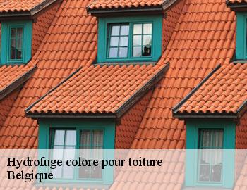 Hydrofuge colore pour toiture BE Belgique Firme Thitane Toit