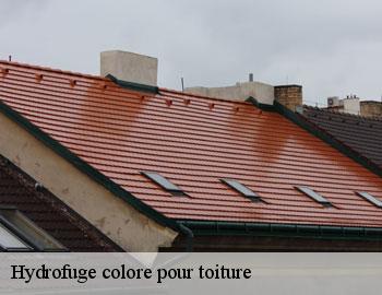 Hydrofuge colore pour toiture BE Belgique Firme Thitane Toit