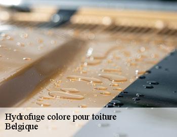 Hydrofuge colore pour toiture BE Belgique Firme Thitane Toit