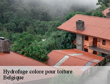 Hydrofuge colore pour toiture BE Belgique Firme Thitane Toit