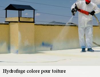 Hydrofuge colore pour toiture BE Belgique Firme Thitane Toit