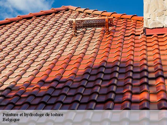 Peinture et hydrofuge de toiture Belgique 