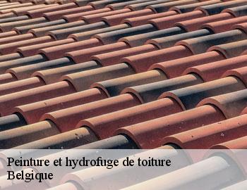 Peinture et hydrofuge de toiture BE Belgique Firme Thitane Toit