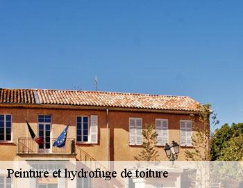 Peinture et hydrofuge de toiture BE Belgique Firme Thitane Toit