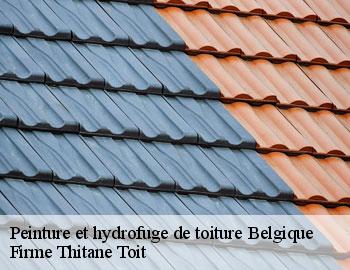 Peinture et hydrofuge de toiture BE Belgique Firme Thitane Toit