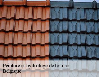 Peinture et hydrofuge de toiture BE Belgique Firme Thitane Toit