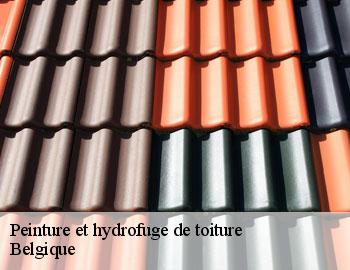Peinture et hydrofuge de toiture BE Belgique Firme Thitane Toit