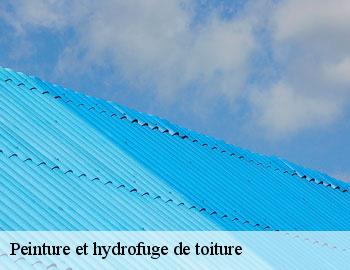 Peinture et hydrofuge de toiture BE Belgique Firme Thitane Toit
