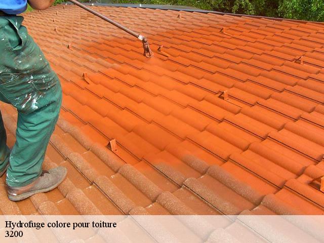 Hydrofuge colore pour toiture  3200