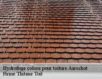 Hydrofuge colore pour toiture  aarschot-3200 Firme Thitane Toit