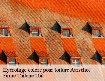 Hydrofuge colore pour toiture  aarschot-3200 Firme Thitane Toit