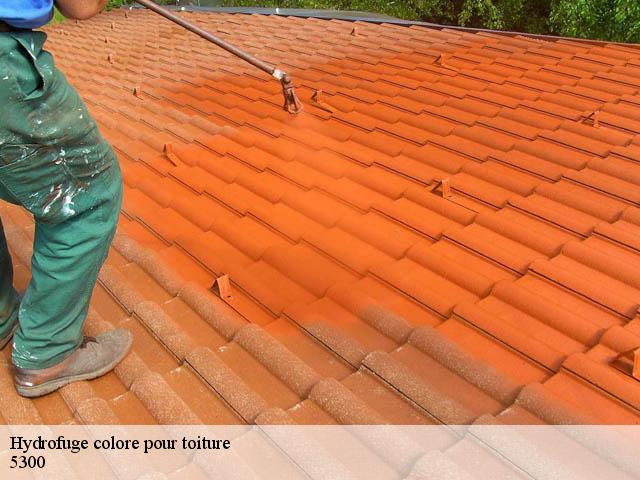 Hydrofuge colore pour toiture  5300