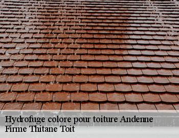 Hydrofuge colore pour toiture andenne-5300 Firme Thitane Toit