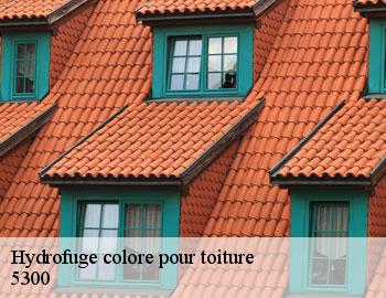 Hydrofuge colore pour toiture andenne-5300 Firme Thitane Toit