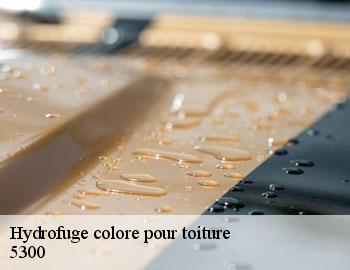 Hydrofuge colore pour toiture andenne-5300 Firme Thitane Toit