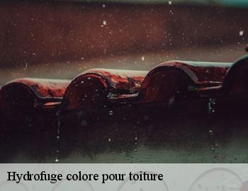 Hydrofuge colore pour toiture andenne-5300 Firme Thitane Toit