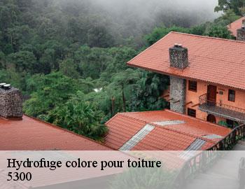 Hydrofuge colore pour toiture andenne-5300 Firme Thitane Toit