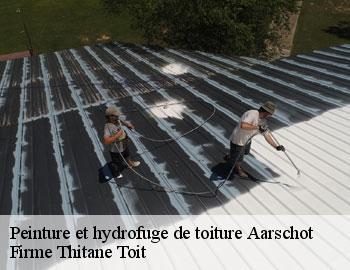 Peinture et hydrofuge de toiture aarschot-3200 Firme Thitane Toit