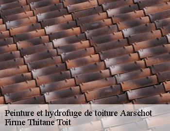 Peinture et hydrofuge de toiture aarschot-3200 Firme Thitane Toit