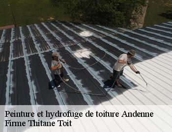 Peinture et hydrofuge de toiture andenne-5300 Firme Thitane Toit