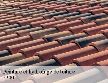 Peinture et hydrofuge de toiture andenne-5300 Firme Thitane Toit