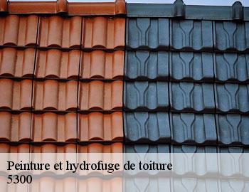 Peinture et hydrofuge de toiture andenne-5300 Firme Thitane Toit