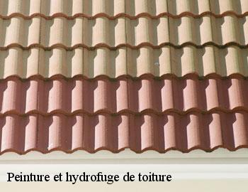 Peinture et hydrofuge de toiture andenne-5300 Firme Thitane Toit