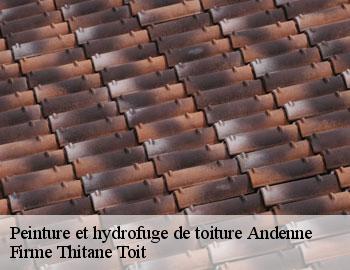 Peinture et hydrofuge de toiture andenne-5300 Firme Thitane Toit