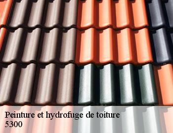 Peinture et hydrofuge de toiture andenne-5300 Firme Thitane Toit